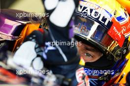 Mark Webber (AUS) Red Bull Racing RB9. 26.07.2013. Formula 1 World Championship, Rd 10, Hungarian Grand Prix, Budapest, Hungary, Practice Day