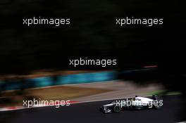 Nico Rosberg (GER) Mercedes AMG F1 W04. 26.07.2013. Formula 1 World Championship, Rd 10, Hungarian Grand Prix, Budapest, Hungary, Practice Day