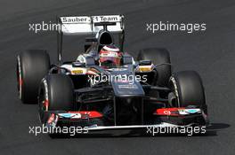 Nico Hulkenberg (GER) Sauber C32. 26.07.2013. Formula 1 World Championship, Rd 10, Hungarian Grand Prix, Budapest, Hungary, Practice Day