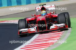 Felipe Massa (BRA) Ferrari F138. 26.07.2013. Formula 1 World Championship, Rd 10, Hungarian Grand Prix, Budapest, Hungary, Practice Day