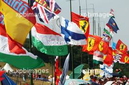 Fans and flags. 27.07.2013. Formula 1 World Championship, Rd 10, Hungarian Grand Prix, Budapest, Hungary, Qualifying Day