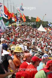 Fans and flags. 27.07.2013. Formula 1 World Championship, Rd 10, Hungarian Grand Prix, Budapest, Hungary, Qualifying Day