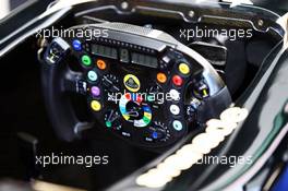 Lotus F1 E21 steering wheel. 24.10.2013. Formula 1 World Championship, Rd 16, Indian Grand Prix, New Delhi, India, Preparation Day.