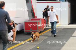 Lewis Hamilton (GBR) Mercedes AMG F1 with his dog Roscoe. 05.09.2013. Formula 1 World Championship, Rd 12, Italian Grand Prix, Monza, Italy, Preparation Day.