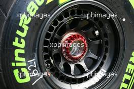 Pirelli tyre. 22.03.2013. Formula 1 World Championship, Rd 2, Malaysian Grand Prix, Sepang, Malaysia, Friday.