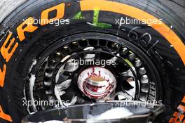 Pirelli tyre. 22.03.2013. Formula 1 World Championship, Rd 2, Malaysian Grand Prix, Sepang, Malaysia, Friday.