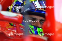 Felipe Massa (BRA) Ferrari F138.