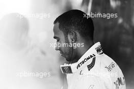 Lewis Hamilton (GBR) Mercedes AMG F1. 01.11.2013. Formula 1 World Championship, Rd 17, Abu Dhabi Grand Prix, Yas Marina Circuit, Abu Dhabi, Practice Day.
