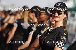 Grid girls. 03.11.2013. Formula 1 World Championship, Rd 17, Abu Dhabi Grand Prix, Yas Marina Circuit, Abu Dhabi, Race Day.