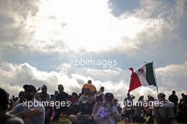 Mexican flag and fans. 17.11.2013. Formula 1 World Championship, Rd 18, United States Grand Prix, Austin, Texas, USA, Race Day.