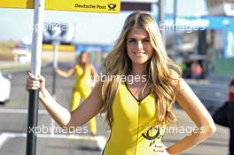 grid girl 28.09.2013. FIA F3 European Championship 2013, Round 8, Race 1, Circuit Park Zandvoort, Netherlands