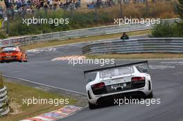 Harold Primat, Christopher Haase, Frank Stippler, PHOENIX RACING, Audi R8 LMS ultra 24.08.2013. LN ADAC Ruhr-Pokal-Rennen, Round 6, Nurburgring, Germany.