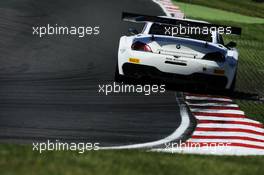 #33 Alex Zanardi (ITA), Roal Motorsport, BMW Z4,  17-18.05.2014. Blancpain Endurance Series, Round 2, Brands Hatch, England