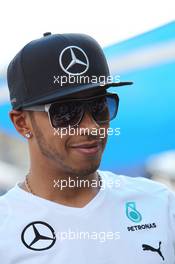 Lewis Hamilton (GBR) Mercedes AMG F1. 16.03.2014. Formula 1 World Championship, Rd 1, Australian Grand Prix, Albert Park, Melbourne, Australia, Race Day.