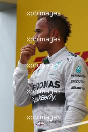 2nd place Lewis Hamilton (GBR) Mercedes AMG F1. 22.06.2014. Formula 1 World Championship, Rd 8, Austrian Grand Prix, Spielberg, Austria, Race Day.