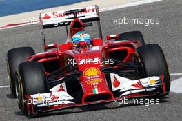 Fernando Alonso (ESP) Ferrari F14-T. 28.02.2014. Formula One Testing, Bahrain Test Two, Day Two, Sakhir, Bahrain.