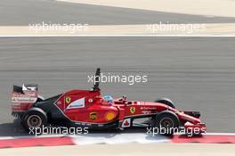 Fernando Alonso (ESP), Scuderia Ferrari  28.02.2014. Formula One Testing, Bahrain Test Two, Day Two, Sakhir, Bahrain.