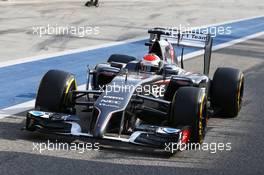 Adrian Sutil (GER) Sauber C33. 27.02.2014. Formula One Testing, Bahrain Test Two, Day One, Sakhir, Bahrain.