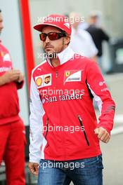 Fernando Alonso (ESP) Ferrari. 22.08.2014. Formula 1 World Championship, Rd 12, Belgian Grand Prix, Spa Francorchamps, Belgium, Practice Day.