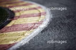 Eau Rouge Kerb detail. 21.08.2014. Formula 1 World Championship, Rd 12, Belgian Grand Prix, Spa Francorchamps, Belgium, Preparation Day.