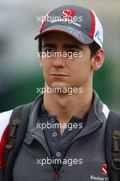 Esteban Gutierrez (MEX) Sauber. 07.11.2014. Formula 1 World Championship, Rd 18, Brazilian Grand Prix, Sao Paulo, Brazil, Practice Day.