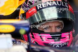 Sebastian Vettel (GER), Red Bull Racing  07.11.2014. Formula 1 World Championship, Rd 18, Brazilian Grand Prix, Sao Paulo, Brazil, Practice Day.