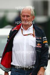 Dr Helmut Marko (AUT) Red Bull Motorsport Consultant. 07.11.2014. Formula 1 World Championship, Rd 18, Brazilian Grand Prix, Sao Paulo, Brazil, Practice Day.