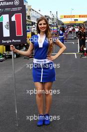 Grid girl. 09.11.2014. Formula 1 World Championship, Rd 18, Brazilian Grand Prix, Sao Paulo, Brazil, Race Day.