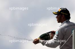 Lewis Hamilton (GBR), Mercedes AMG F1 Team  09.11.2014. Formula 1 World Championship, Rd 18, Brazilian Grand Prix, Sao Paulo, Brazil, Race Day.