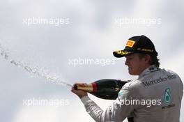 Nico Rosberg (GER), Mercedes AMG F1 Team  09.11.2014. Formula 1 World Championship, Rd 18, Brazilian Grand Prix, Sao Paulo, Brazil, Race Day.