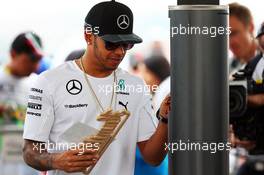 Lewis Hamilton (GBR) Mercedes AMG F1. 08.11.2014. Formula 1 World Championship, Rd 18, Brazilian Grand Prix, Sao Paulo, Brazil, Qualifying Day.