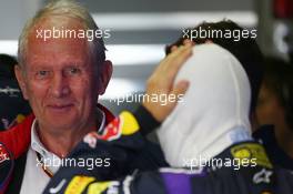 (L to R): Dr Helmut Marko (AUT) Red Bull Motorsport Consultant with Sebastian Vettel (GER) Red Bull Racing. 08.11.2014. Formula 1 World Championship, Rd 18, Brazilian Grand Prix, Sao Paulo, Brazil, Qualifying Day.