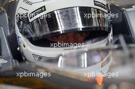 Giedo van der Garde (NLD) Sauber C33 Reserve Driver. 18.04.2014. Formula 1 World Championship, Rd 4, Chinese Grand Prix, Shanghai, China, Practice Day.