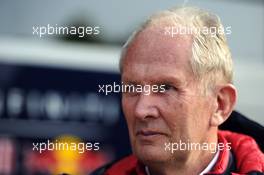 Dr Helmut Marko (AUT) Red Bull Motorsport Consultant. 18.04.2014. Formula 1 World Championship, Rd 4, Chinese Grand Prix, Shanghai, China, Practice Day.
