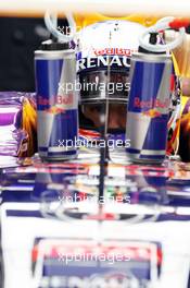 Daniel Ricciardo (AUS) Red Bull Racing RB10. 18.04.2014. Formula 1 World Championship, Rd 4, Chinese Grand Prix, Shanghai, China, Practice Day.