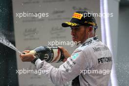 Lewis Hamilton (GBR), Mercedes AMG F1 Team  20.04.2014. Formula 1 World Championship, Rd 4, Chinese Grand Prix, Shanghai, China, Race Day.