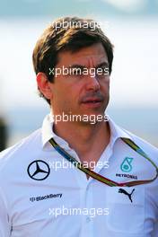 Toto Wolff (GER) Mercedes AMG F1 Shareholder and Executive Director. 19.07.2014. Formula 1 World Championship, Rd 10, German Grand Prix, Hockenheim, Germany, Qualifying Day.