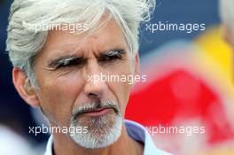 Damon Hill (GBR) Sky Sports Presenter. 26.07.2014. Formula 1 World Championship, Rd 11, Hungarian Grand Prix, Budapest, Hungary, Qualifying Day.