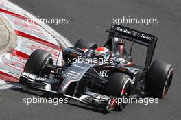 Adrian Sutil (GER) Sauber C33. 26.07.2014. Formula 1 World Championship, Rd 11, Hungarian Grand Prix, Budapest, Hungary, Qualifying Day.