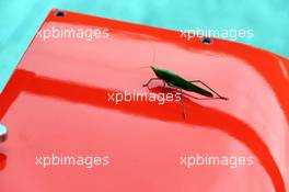 A large insect in the pits. 03.10.2014. Formula 1 World Championship, Rd 15, Japanese Grand Prix, Suzuka, Japan, Practice Day.