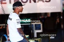 Lewis Hamilton (GBR) Mercedes AMG F1. 23.05.2014. Formula 1 World Championship, Rd 6, Monaco Grand Prix, Monte Carlo, Monaco, Friday.