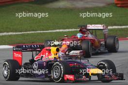 Daniel Ricciardo (AUS) Red Bull Racing RB10 leads Fernando Alonso (ESP) Ferrari F14-T. 30.03.2014. Formula 1 World Championship, Rd 2, Malaysian Grand Prix, Sepang, Malaysia, Sunday.
