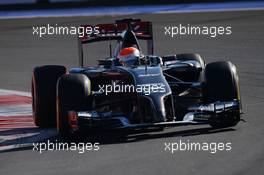 Adrian Sutil (GER) Sauber C33. 11.10.2014. Formula 1 World Championship, Rd 16, Russian Grand Prix, Sochi Autodrom, Sochi, Russia, Qualifying Day.
