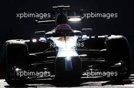 Jenson Button (GBR) McLaren MP4-29. 22.11.2014. Formula 1 World Championship, Rd 19, Abu Dhabi Grand Prix, Yas Marina Circuit, Abu Dhabi, Qualifying Day.