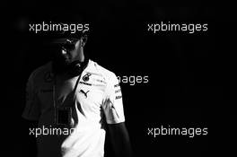 Lewis Hamilton (GBR) Mercedes AMG F1. 31.10.2014. Formula 1 World Championship, Rd 17, United States Grand Prix, Austin, Texas, USA, Practice Day.