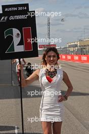 Grid girl. 02.11.2014. Formula 1 World Championship, Rd 17, United States Grand Prix, Austin, Texas, USA, Race Day.