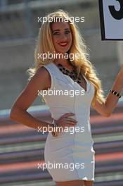 Grid girl. 01.11.2014. Formula 1 World Championship, Rd 17, United States Grand Prix, Austin, Texas, USA, Qualifying Day.