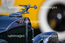 Car badge. 02.11.2014. Formula 1 World Championship, Rd 17, United States Grand Prix, Austin, Texas, USA, Race Day.