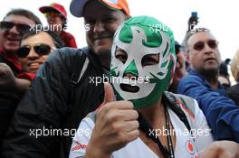 A fan. 02.11.2014. Formula 1 World Championship, Rd 17, United States Grand Prix, Austin, Texas, USA, Race Day.