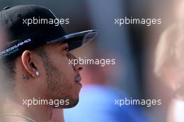 Lewis Hamilton (GBR), Mercedes AMG F1 Team  30.10.2014. Formula 1 World Championship, Rd 17, United States Grand Prix, Austin, Texas, USA, Preparation Day.